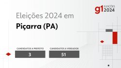 eleicoes-2024-em-picarra-(pa):-veja-os-candidatos-a-prefeito-e-a-vereador