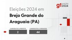 eleicoes-2024-em-brejo-grande-do-araguaia-(pa):-veja-os-candidatos-a-prefeito-e-a-vereador