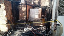 incendio-destroi-casa-e-mata-animais,-em-belem;-video