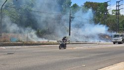 incendio-atinge-area-de-mata-apos-casal-atear-fogo-em-cabos-de-cobre-em-belem