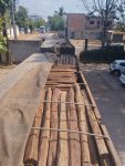 prf-apreende-44-m³-de-madeira-extraida-ilegalmente-no-para