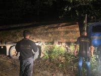pf-e-ibama-destroem-caminhoes-que-transportavam-madeira-ilegal-no-para