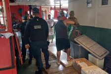 crime-ambiental-no-marajo:-100-kg-de-pescado-no-marajo-e-centenas-de-ovos-de-tartaruga-sao-apreendidos