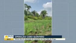 videos:-bom-dia-para-de-quarta-feira,-23-de-outubro-de-2024