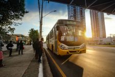 belem-tera-gratuidade-nos-onibus-para-eleitores-no-segundo-turno-deste-domingo