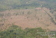 adepara-cancela-registros-de-fazendas-ilegais-na-terra-indigena-apyterewa-apos-recomendacao-do-mpf