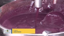 videos:-liberal-comunidade-do-domingo,-3-de-outubro-de-2024