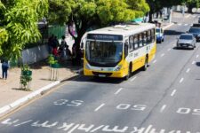 prefeitura-disponibiliza-20-onibus-gratuitos-nos-dias-de-shows-do-aniversario-de-belem
