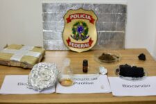 biocombustivel-de-maconha:-estudo-inovador-conduzido-pela-pf-usa-droga-apreendida-para-gerar-bio-oleo,-no-pa