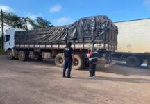 sefa-apreende-30-toneladas-de-acai-avaliada-em-mais-de-r$-300-mil